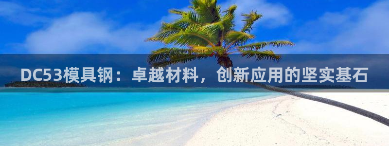 太阳诚集团是干什么的：DC53模具钢：卓越材料，创新应用的坚实基石