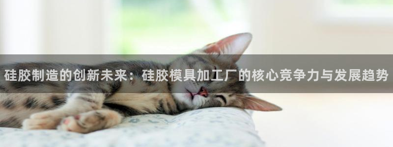 太阳gg注册地址：硅胶制造的创新未来：硅胶模具加工厂的核心竞争力与发展趋势