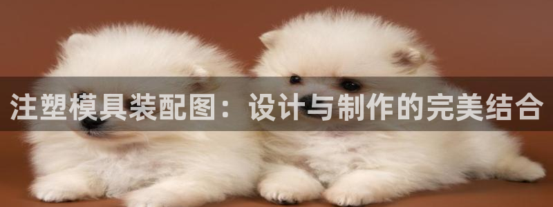太阳集团游戏城旧版2.1.9：注塑模具装配图：设计与制作的完美结合