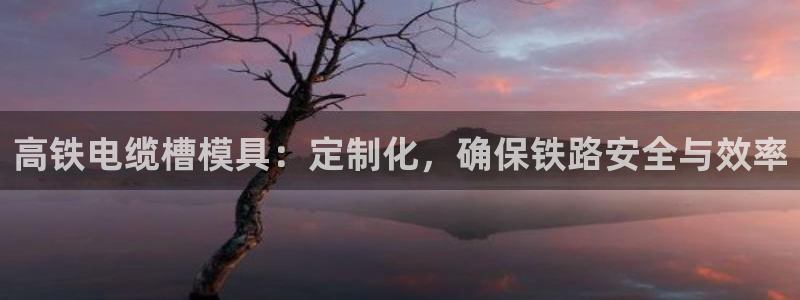 太阳集团游戏城旧版5376：高铁电缆槽模具：定制化，确保铁路安全与效率