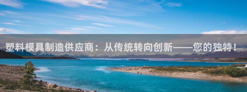 太阳集团城网址娱网：塑料模具制造供应商：从传统转向创新——您的独特！
