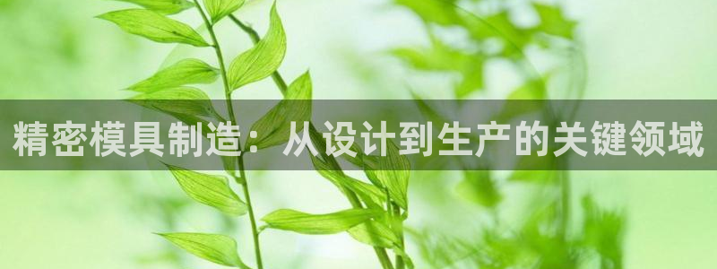 太阳集团游戏官方网址老字号