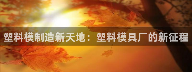 太阳集团0638：塑料模制造新天地：塑料模具厂的新征程